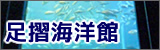 四国最大級の水族館「足摺海洋館」 | 公式ホームページ